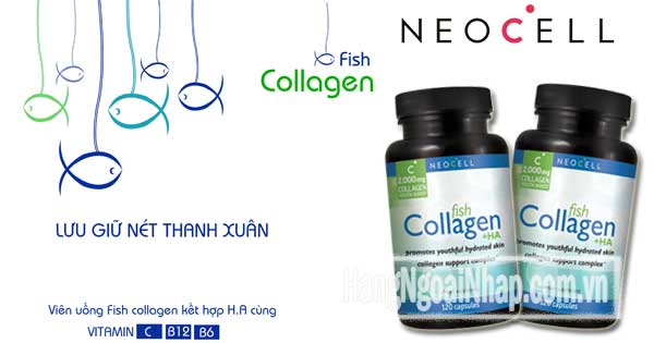 Viên Uống Neocell Fish Collagen +Ha 2000mg 120 Viên