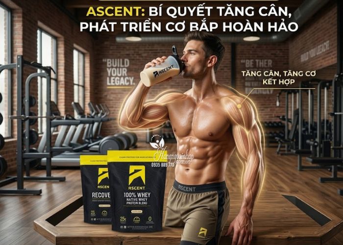 Bột Protein Ascent 100% Whey Native Whey Protein Blend