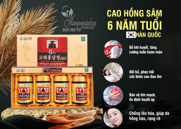 Cao hồng sâm 365 Hàn Quốc 6 năm tuổi Hộp 240g x 2 lọ 67