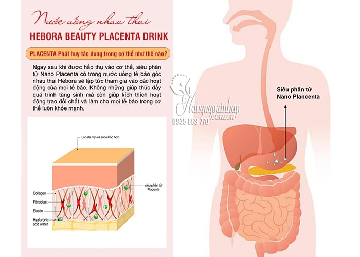 Nước uống nhau thai Hebora Beauty Placenta Drink 500ml Nhật 8