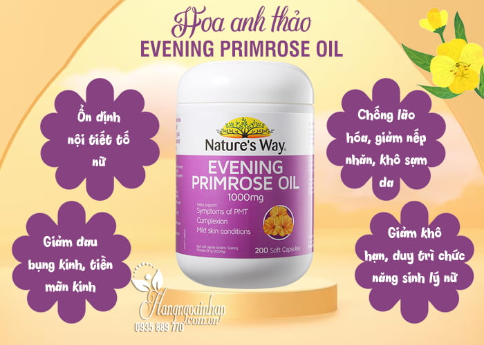 Hoa anh thảo Evening Primrose Oil Nature’s Way của Úc 7