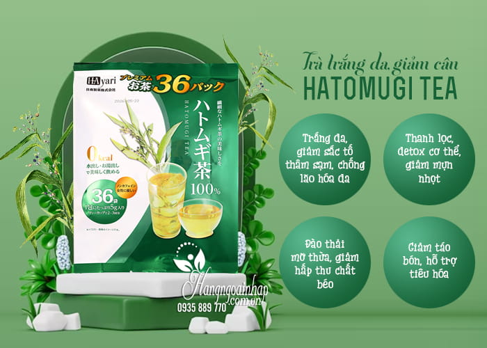 Trà trắng da Hayari Hatomugi Tea túi 36 gói của Nhật Bản 7