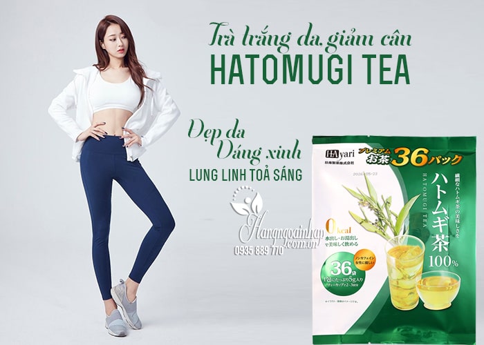 Trà trắng da Hayari Hatomugi Tea túi 36 gói của Nhật Bản 0