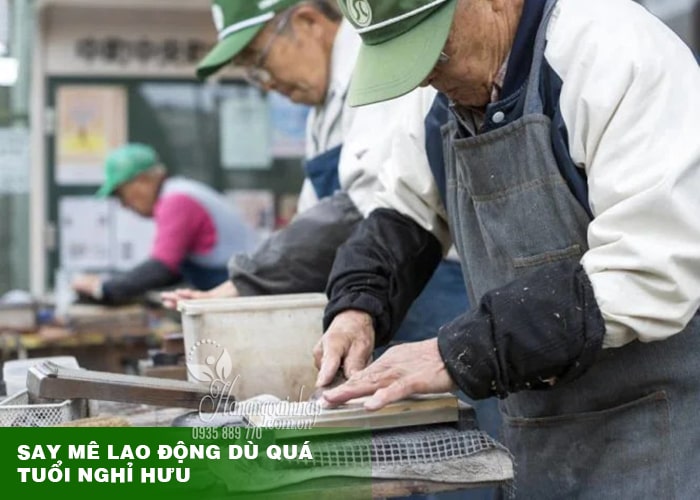 10 thói quen giúp người Nhật sống thọ nhất Thế giới  12