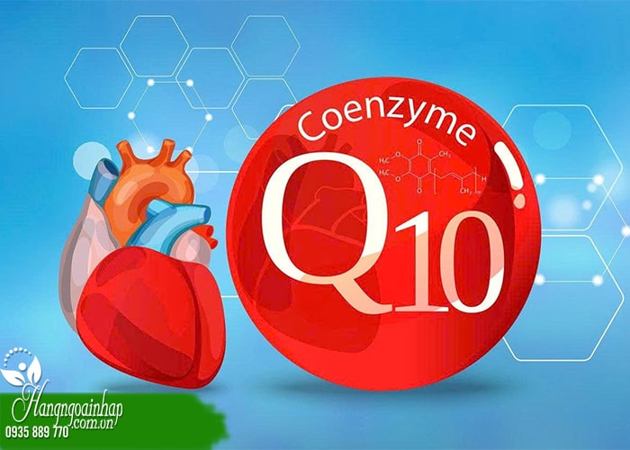 Bổ tim Coq10 loại nào tốt? Top 5 loại hiệu quả nhất  1