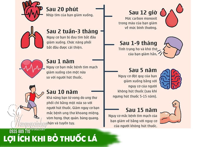 Hút thuốc lá có lợi ích gì không? 10 lý do nên bỏ thuốc lá sớm 6