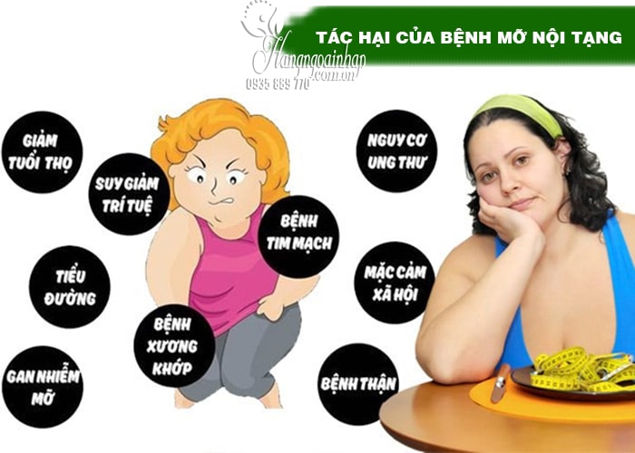 Mỡ nội tạng có nguy hiểm không? Cách thải mỡ nội tạng hiệu quả 34