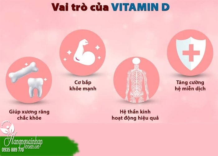 Người lớn tuổi nên bổ sung Canxi hay vitamin D3? Liều lượng ra sao? 5