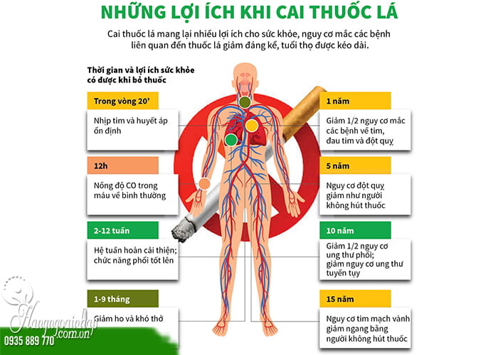 Thuốc cai thuốc lá tốt nhất được chuyên gia khuyên dùng 90