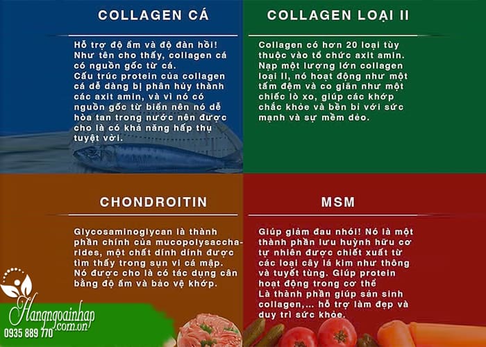  Top 5 thuốc bổ khớp Nhật Bản tốt nhất hiện nay 3