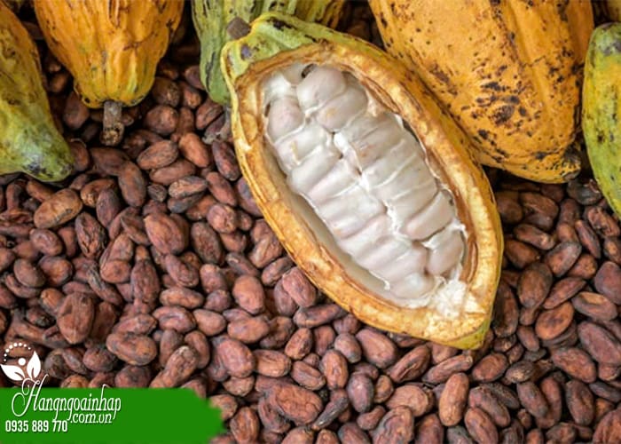 Uống ca cao có bị mất ngủ không? Đối tượng không nên dùng 1