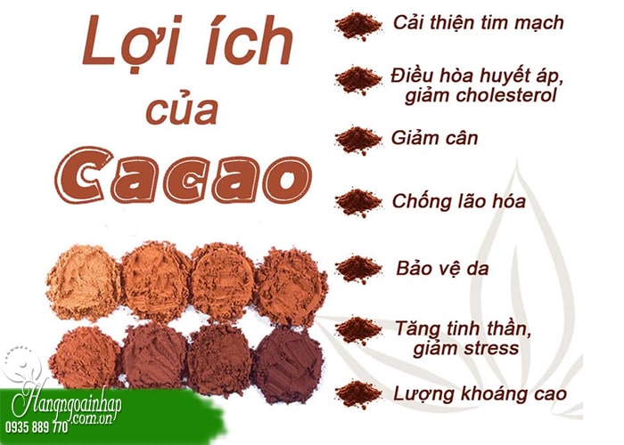 Uống ca cao có bị mất ngủ không? Đối tượng không nên dùng 66
