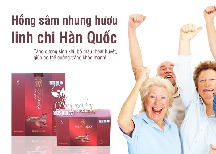 Hồng sâm nhung hươu linh chi 365 Hàn Quốc gói 70ml  8