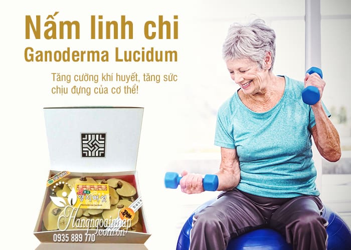 Nấm linh chi Ganoderma Lucidum chính hãng Hàn, loại 1 2