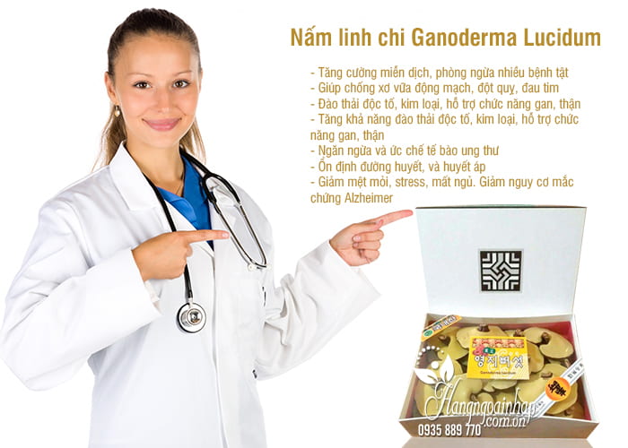 Nấm linh chi Ganoderma Lucidum chính hãng Hàn, loại 1 8