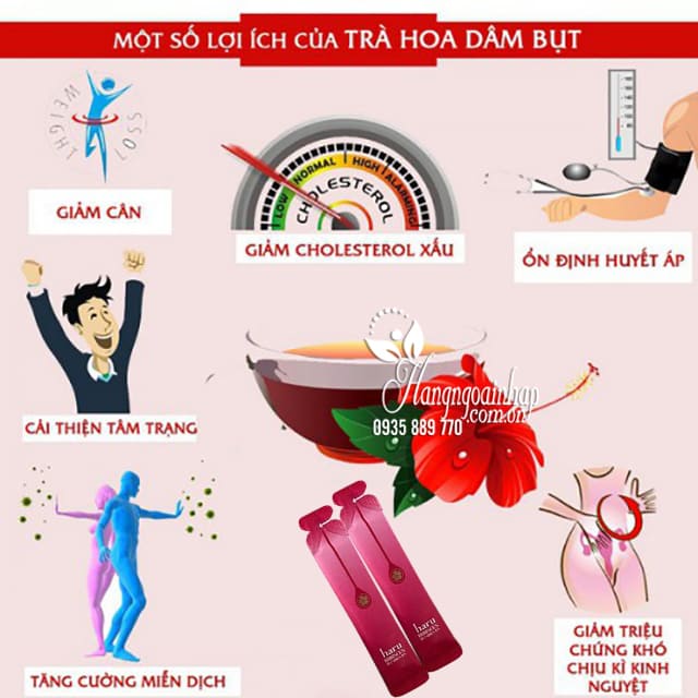 Nước uống hoa dâm bụt Haru Hibiscus giảm cân đẹp da 30 gói 2