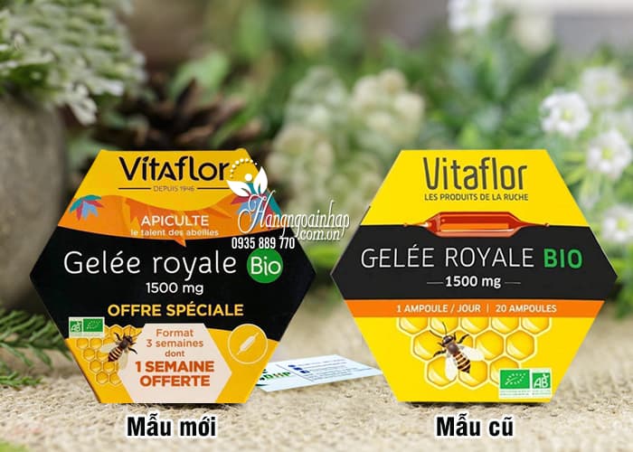 SỮA ONG CHÚA VITAFLOR - GELEE ROYALE BIO Của Pháp  2