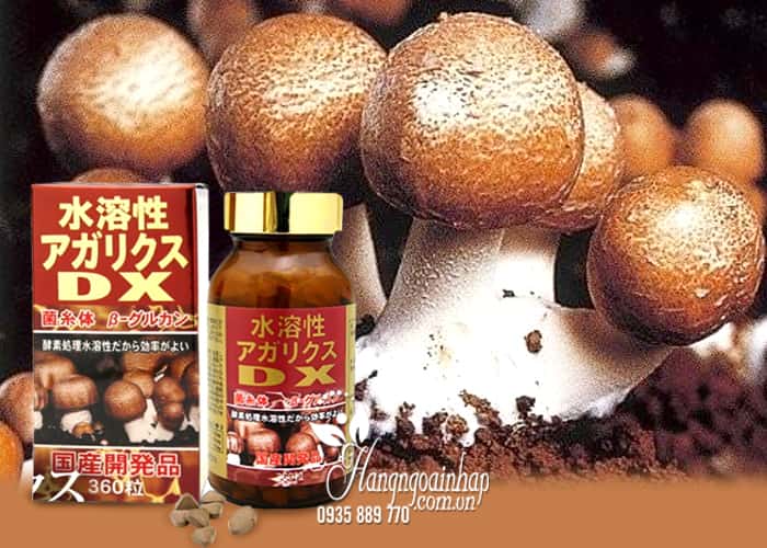 Nấm Agaricus DX 360 viên - Nấm thái dương DX núi của Nhật Bản 3