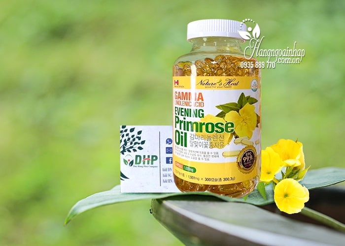 Dầu axit linolenic gamma hoa anh thảo Hàn Quốc 300 2