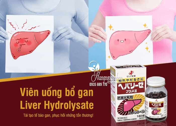 Liver hydrolysate 180 viên - viên uống bổ gan chính hãngcủa nhật 3