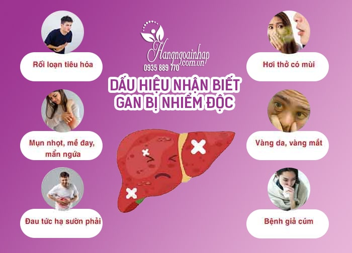 Thải độc gan Extra Artichaut Detox Milical của Pháp 7 ống 12