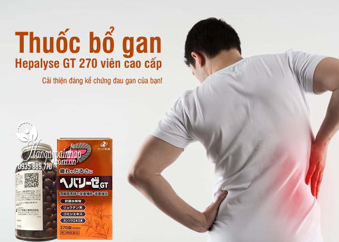 Thuốc bổ gan Hepalyse GT 270 viên cao cấp của Nhật Bản 3