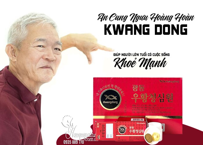 An Cung Ngưu Hoàng Hoàn tổ kén Kwang Dong Hàn Quốc, giá tốt  23