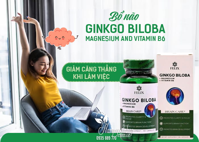Bổ não Felix Ginkgo Biloba Magnesium And Vitamin B6 của Mỹ 23