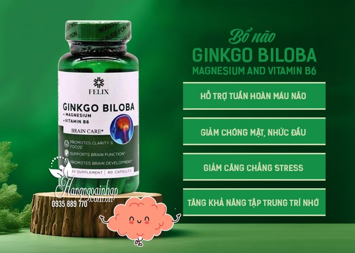 Bổ não Felix Ginkgo Biloba Magnesium And Vitamin B6 của Mỹ 34