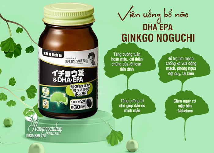  Viên uống bổ não DHA EPA Ginkgo Noguchi 60 viên của Nhật Bản 7