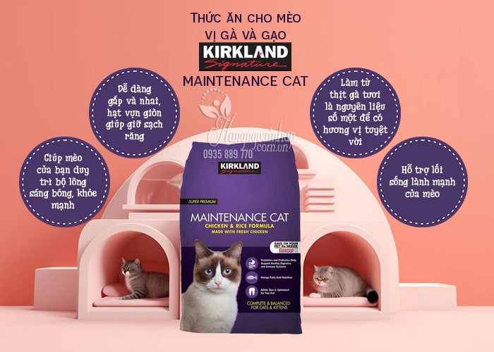 Thức ăn cho mèo vị gà và gạo Kirkland Maintenance Cat của Mỹ 6