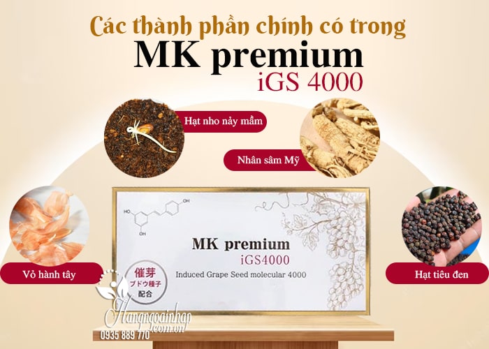 MK Premium IGS4000 của Nhật Bản 30 viên hỗ trợ ung thư 1