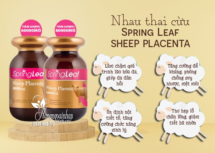 Nhau thai cừu Spring Leaf Sheep Placenta 60000mg của Úc 67