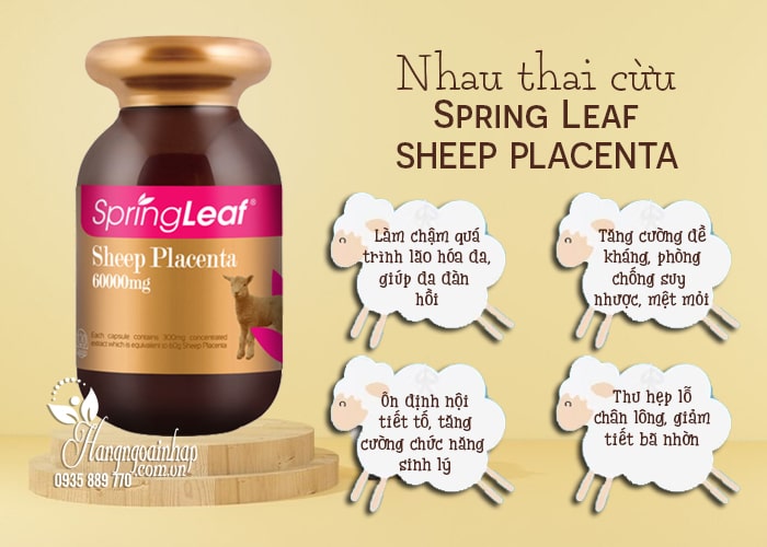 Nhau thai cừu Spring Leaf Sheep Placenta 80000mg của Úc 6