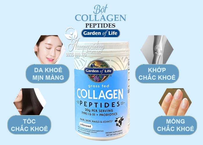 Bột Collagen Peptides Garden Of Life Grass Fed 280g của Mỹ 4