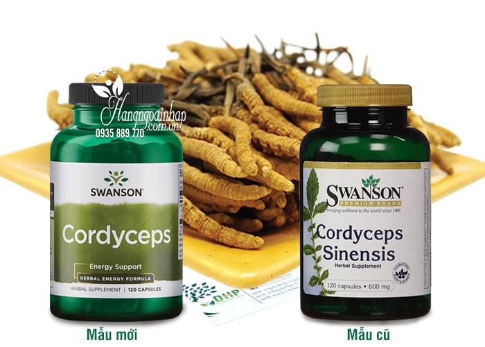 Đông Trùng Hạ Thảo Swanson Cordyceps Sinensis 6