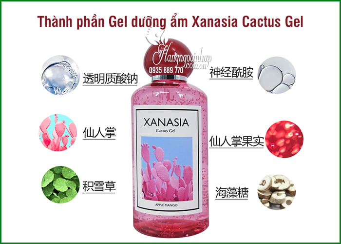 Gel dưỡng ẩm Xanasia Cactus Gel 300ml từ xương rồng đỏ 2