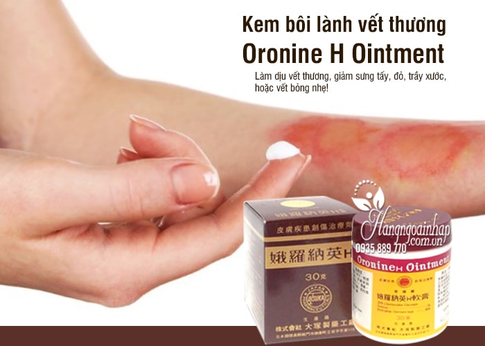 Kem bôi lành vết thương Oronine H Ointment Nhật Bản 1