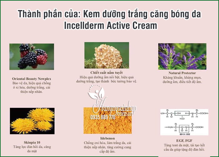 Kem dưỡng trắng căng bóng da Incellderm Active Cream 50ml 7