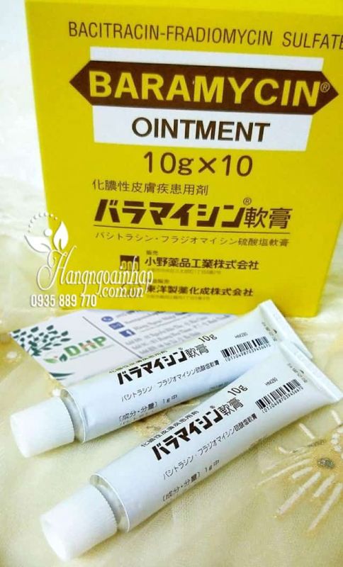Thuốc mỡ chống nhiễm trùng da Baramycin Ointment 10g Nhật 1