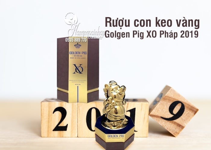 Rượu con heo vàng Golden Pig XO Pháp 2019, quà biếu sang trọng 5