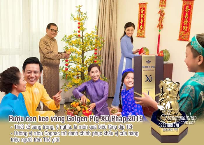 Rượu con heo vàng Golden Pig XO Pháp 2019, quà biếu sang trọng 2