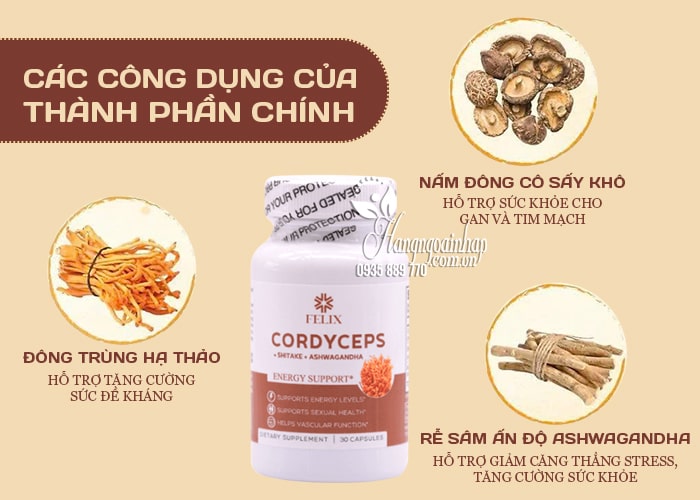 Đông trùng hạ thảo Felix Cordyceps Energy Supports của Mỹ 56