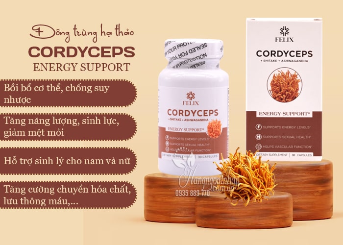 Đông trùng hạ thảo Felix Cordyceps Energy Supports của Mỹ 68