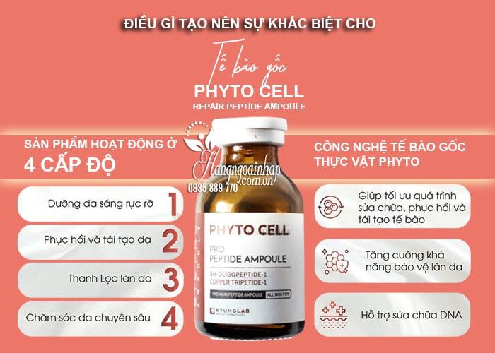 Tế bào gốc Kyung Lab Phyto Cell Repair Peptide Ampoule 20ml 70