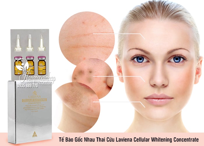 Tế Bào Gốc Nhau Thai Cừu Laviena Cellular Whitening Concentrate 2