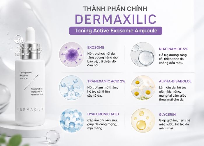 Thành phần của tinh chất Dermaxilic Toning Active Exosome Ampoule