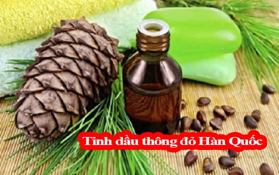 Review tinh dầu thông đỏ Hàn Quốc loại nào tốt nhất hiện nay