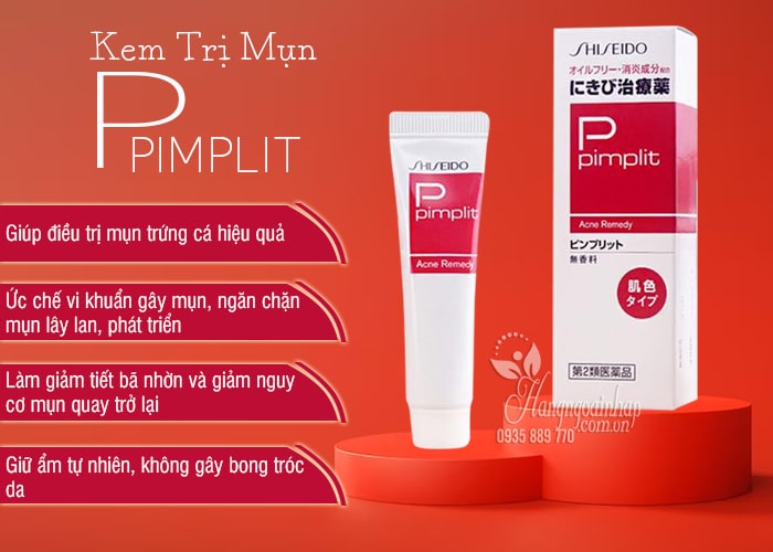 Kem Thoa Trị Mụn Shiseido Pimplit 15g Của Nhật Bản 2