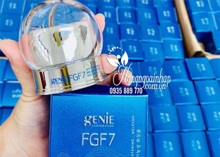 Kem trị nám Genie FGF7 Hàn Quốc chính hãng - Hộp 20g 9